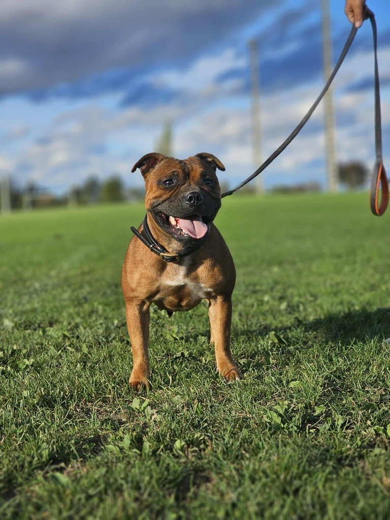 Vegas De La Furia Roja